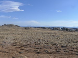 High Plains shortgrass prairie