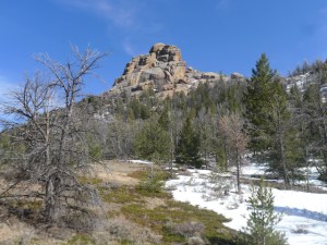 View with dead tree, Vedauwoo